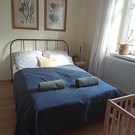 Apartament Przy Wandy زيلونا غورا المظهر الخارجي الصورة