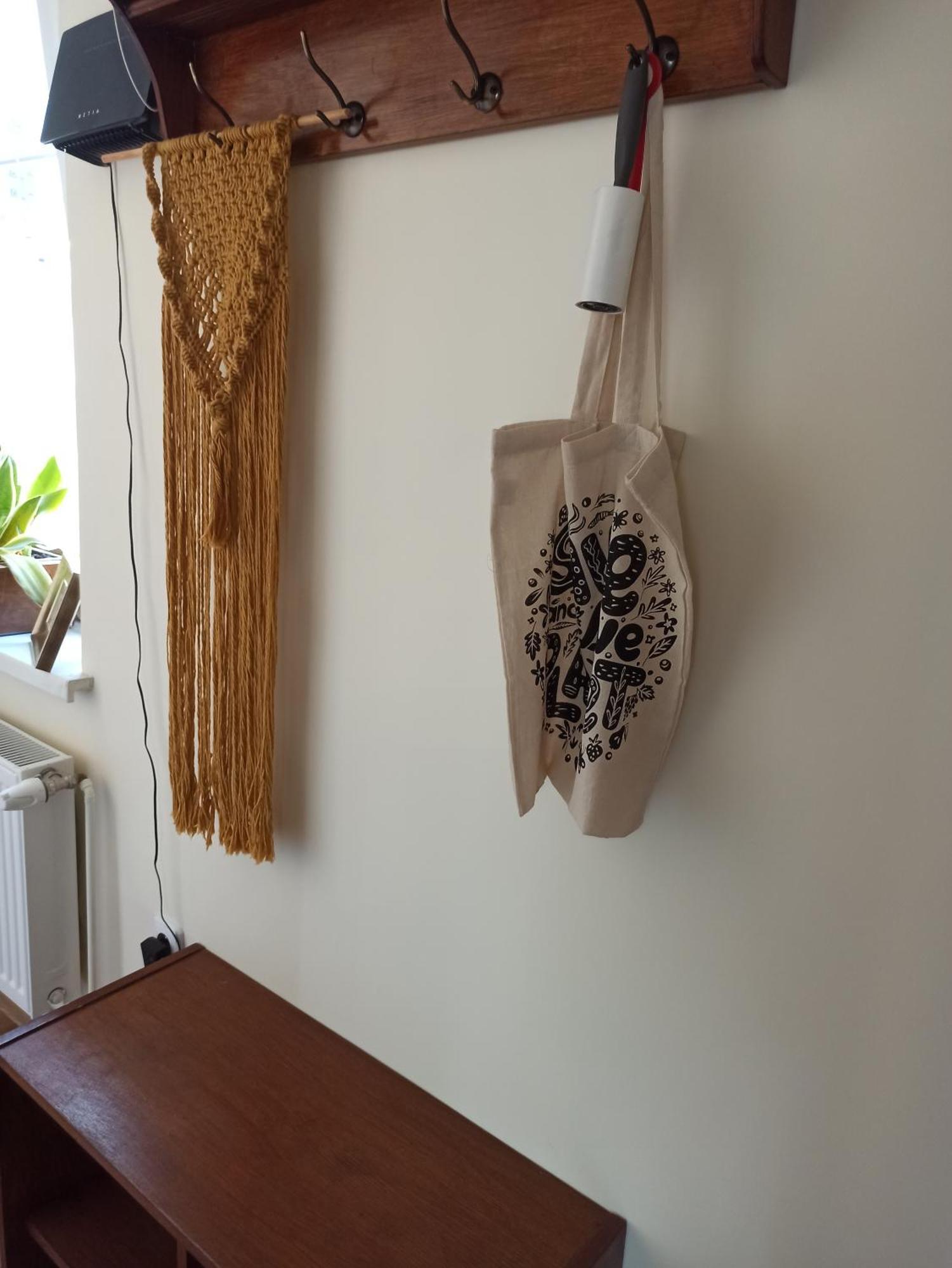 Apartament Przy Wandy زيلونا غورا المظهر الخارجي الصورة