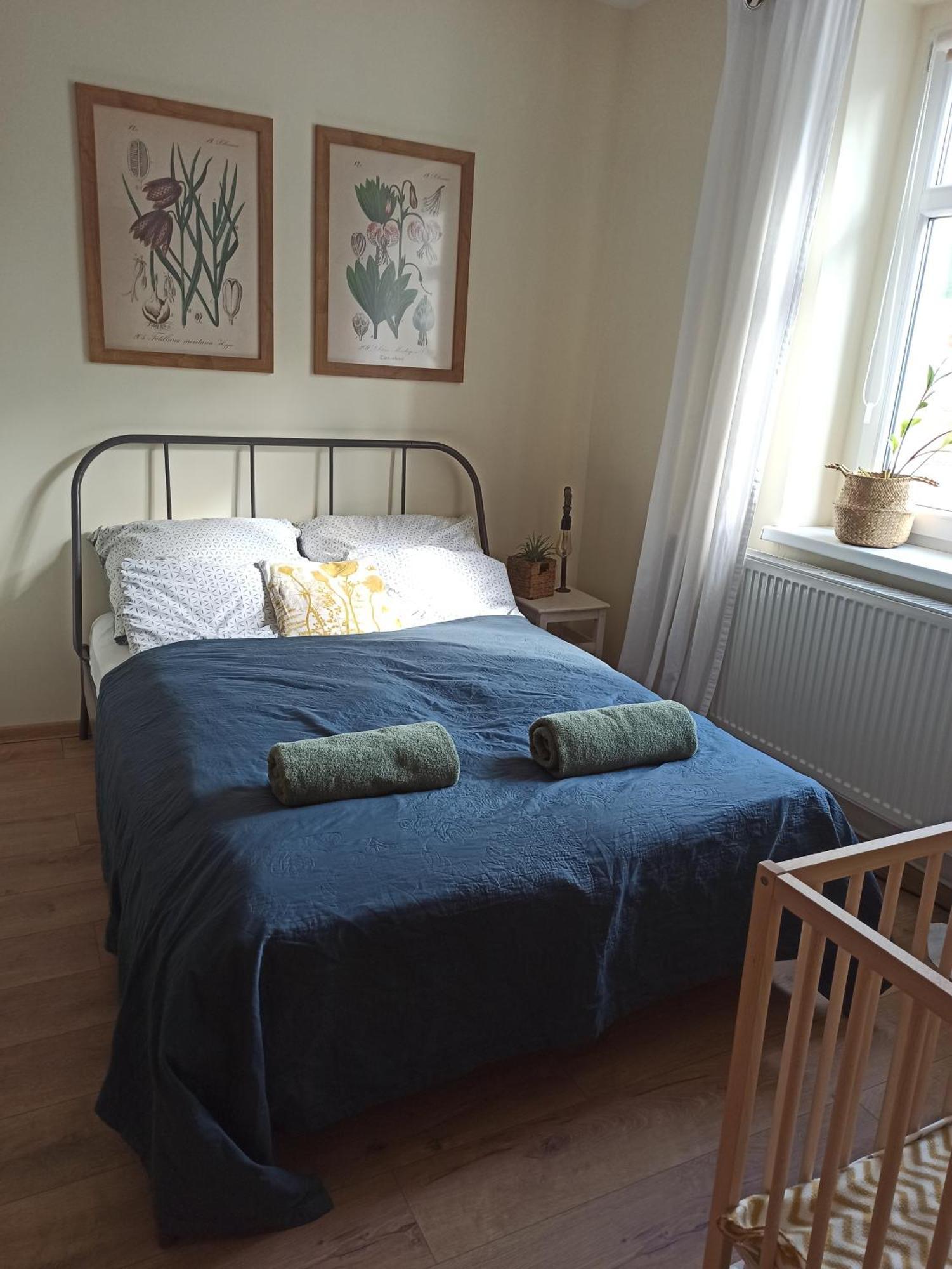 Apartament Przy Wandy زيلونا غورا المظهر الخارجي الصورة